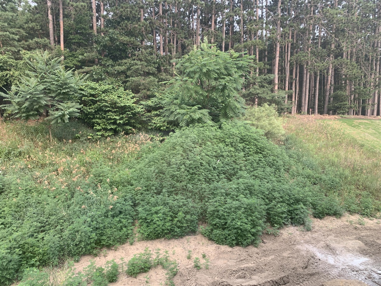2nd image of 12573 Riverton Rd, Grand Haven, MI 49417 | MLS# 70539036