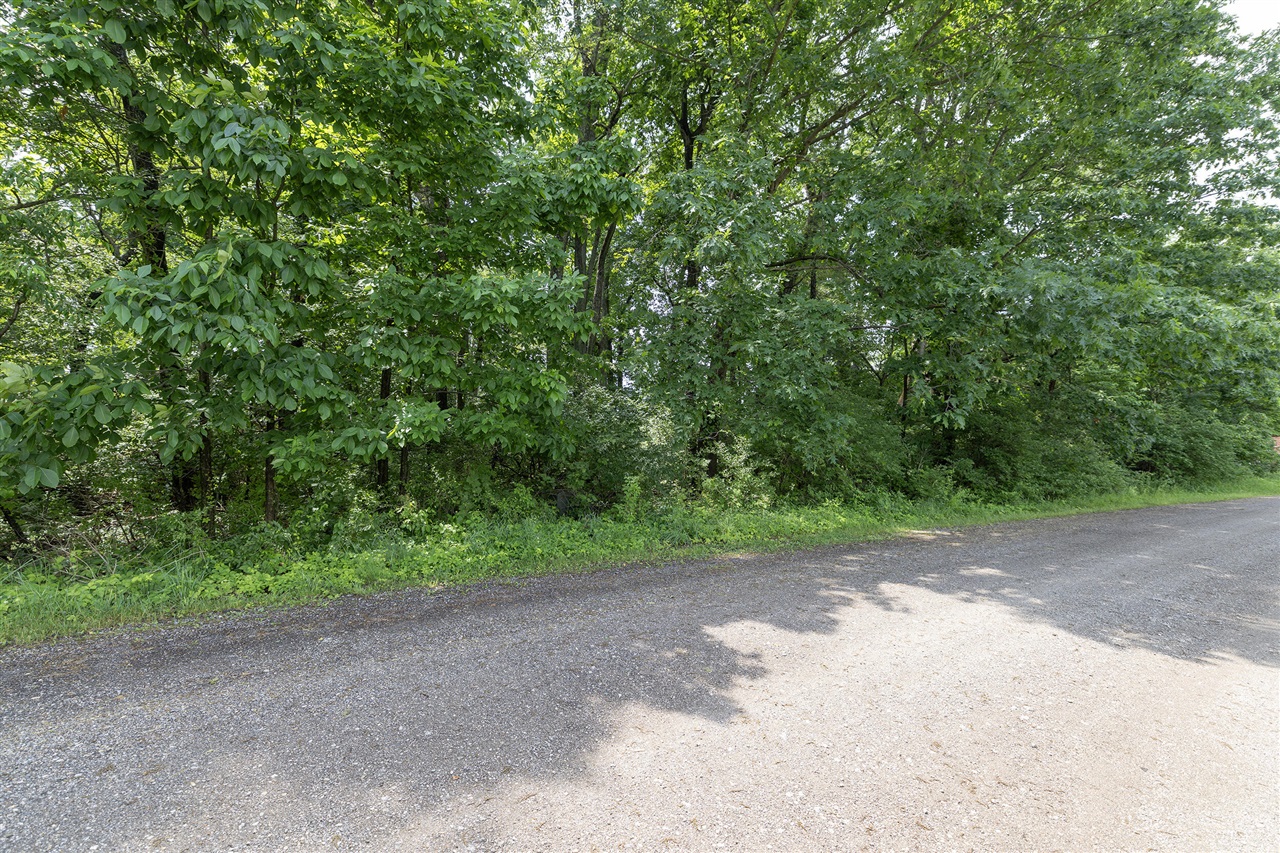 4th image of 21597 Puterbaugh Ln, Cassopolis, MI 49031 | MLS# 70539162