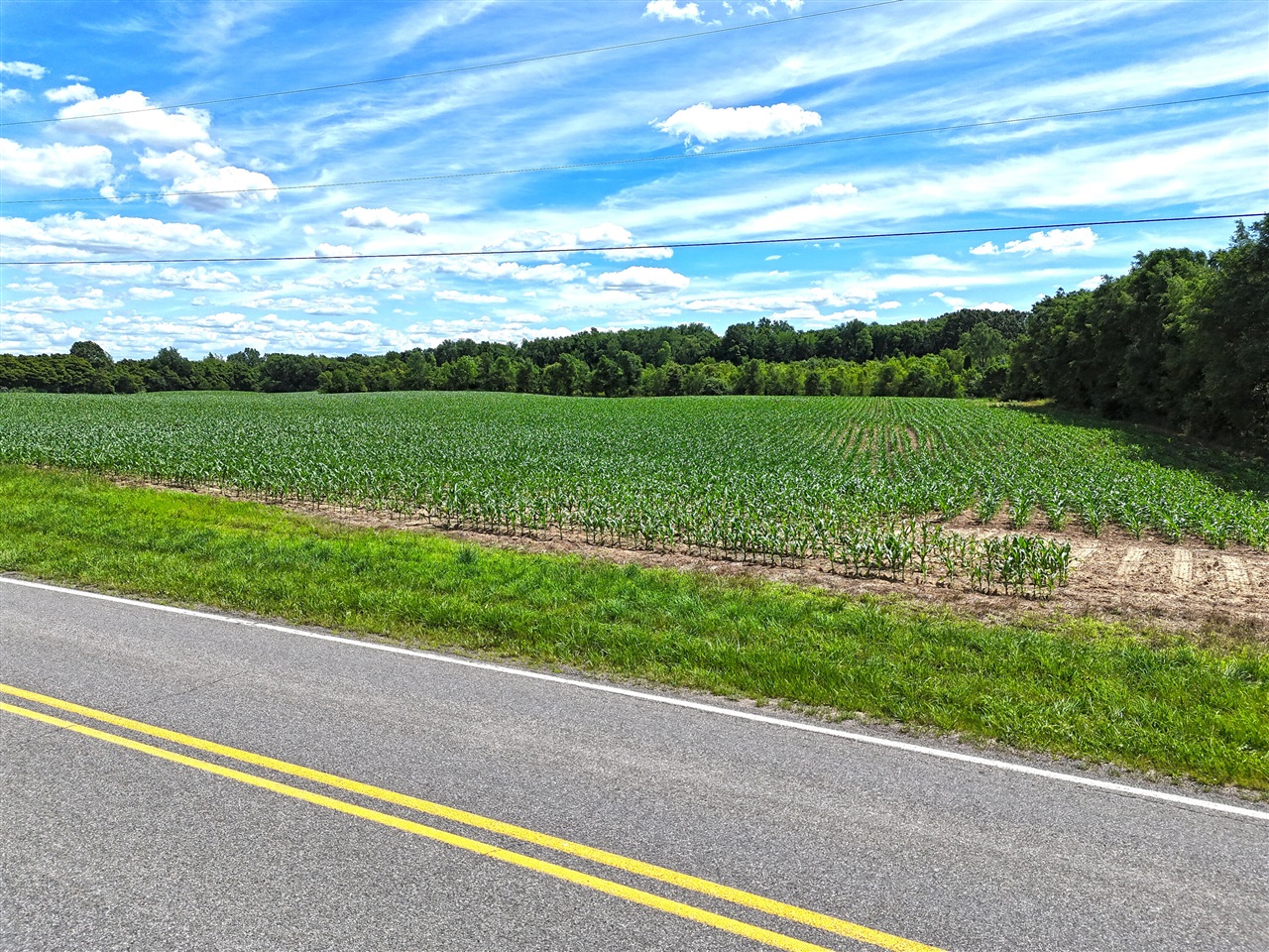 11th image of 1259 Territorial Rd, Benton Harbor, MI 49022 | MLS# 70539256
