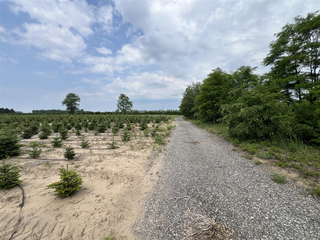 4th image of Vl Pierce St, West Olive, MI 49460 | MLS# 70539294
