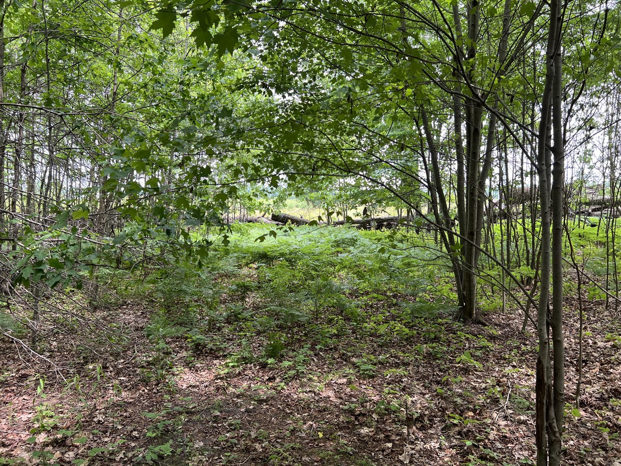 5th image of Vl Pierce St, West Olive, MI 49460 | MLS# 70539294