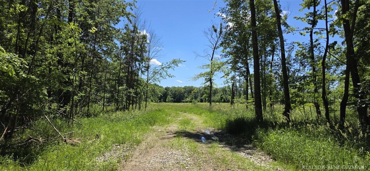 1st image of 8250 14 Mile Rd, Cedar Springs, MI 49319 | MLS# 70539378