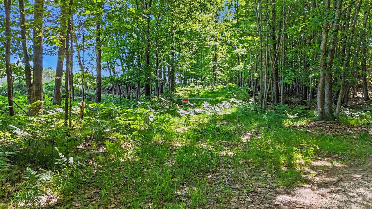 Photo 4 of Land for sale at 2015 S 176th Avenue, Hesperia, MI 49421 | MLS# 70539423 | Listing updated on 2026-09-19