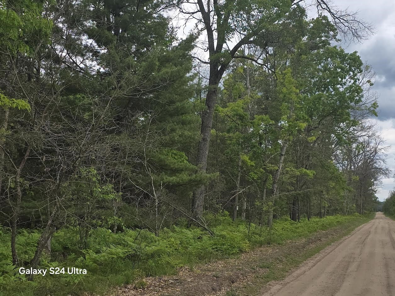 3rd image of 0000 S Forman Rd, Baldwin, MI 49304 | MLS# 70539623