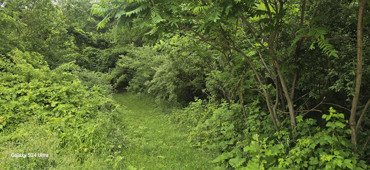 Photo 2 of Sale Pending at V/l Lakefront Dr, Delton, MI 49046 | MLS# 70539816 | Listing updated on 2026-09-30