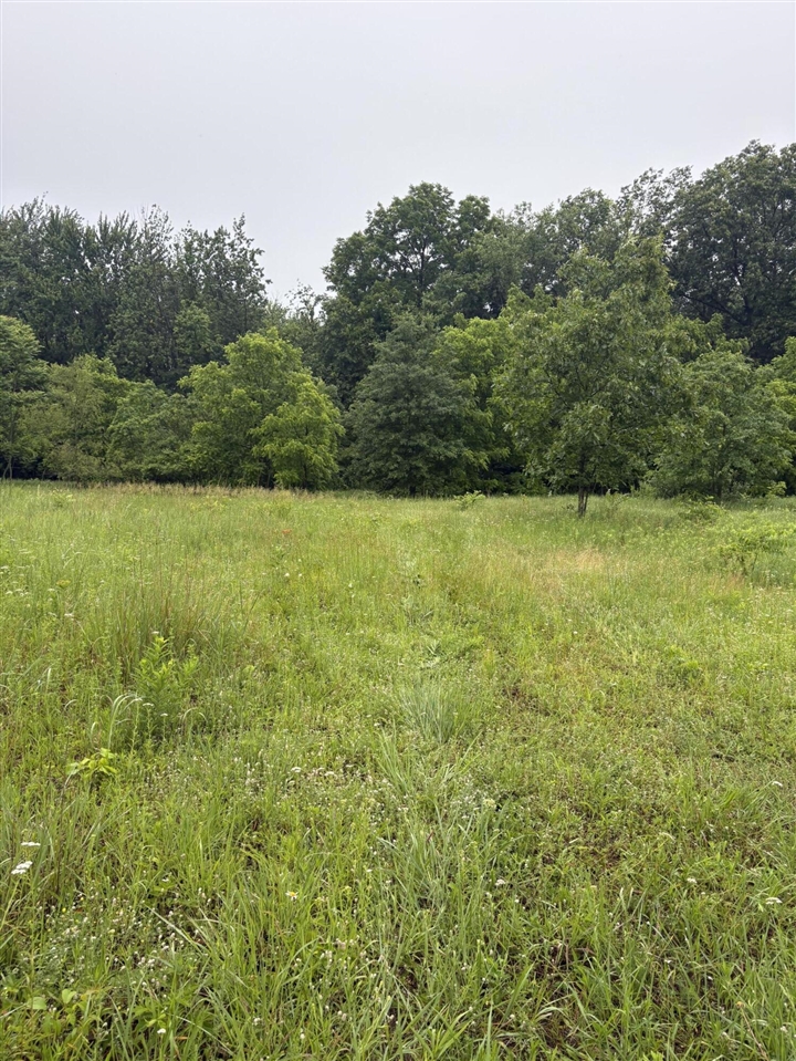 Photo 3 of Sale Pending at 69704 Garver Lake Rd, Edwardsburg, MI 49112 | MLS# 70540074 | Listing updated on 2026-09-13