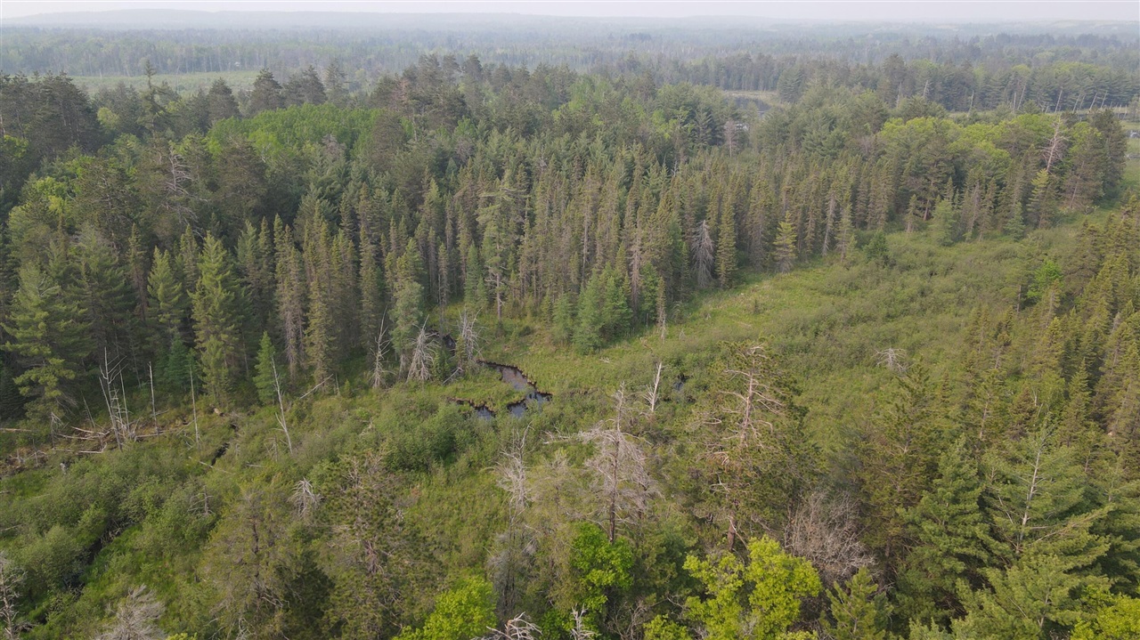 Photo 2 of Land for sale at Parcel B Cherry Crk Trl, Grayling, MI 49738 | MLS# 70540833 | Listing updated on 2026-09-16