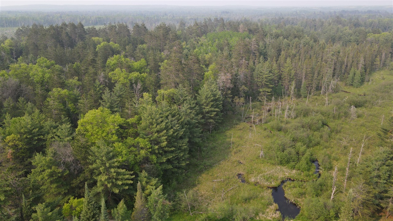 Photo 3 of Land for sale at Parcel B Cherry Crk Trl, Grayling, MI 49738 | MLS# 70540833 | Listing updated on 2026-09-16