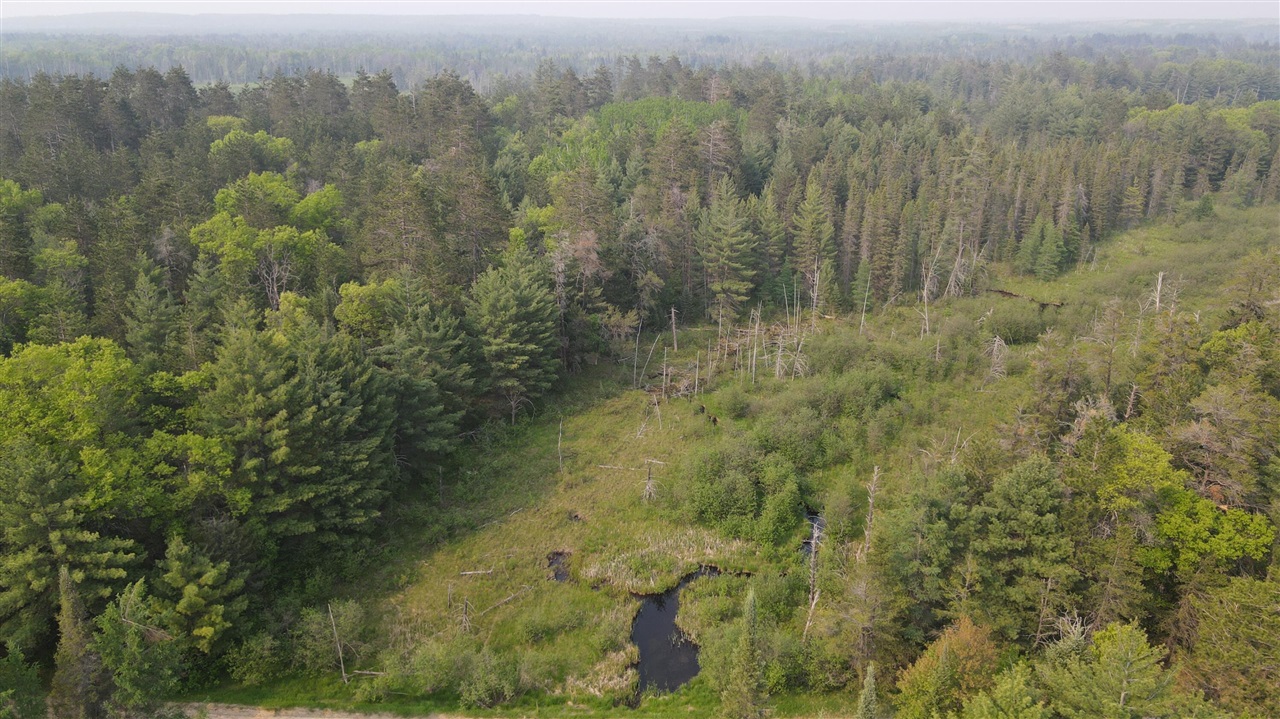 Photo 3 of Land for sale at Parcel B Cherry Crk Trl, Grayling, MI 49738 | MLS# 70540833 | Listing updated on 2026-09-16