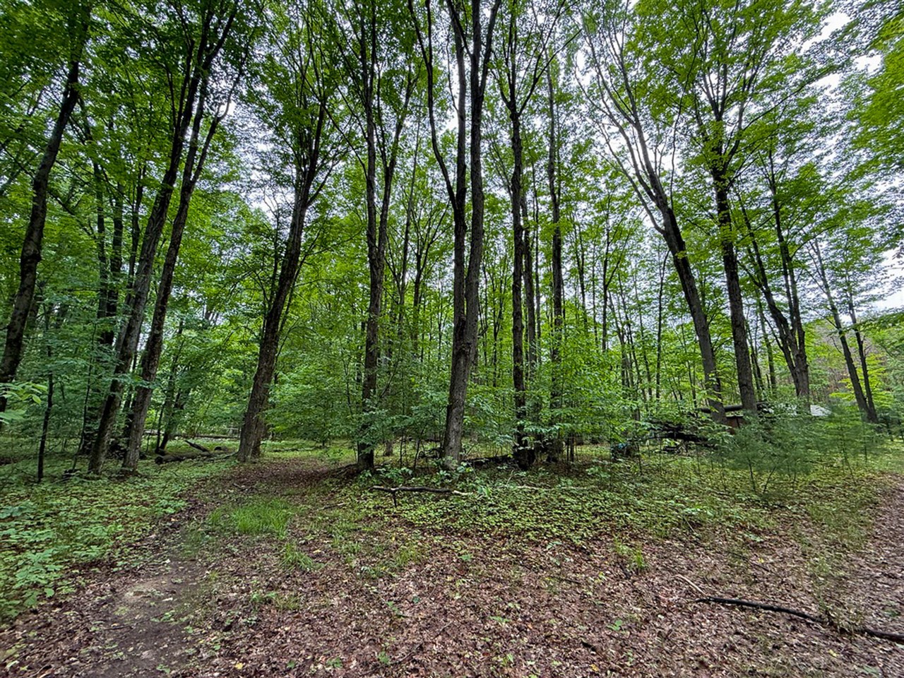 Photo 51 of Single family home for sale at 5070 W Sanborn Rd, Lake City, MI 49651 | MLS# 70540854 | Listing updated on 2026-09-01