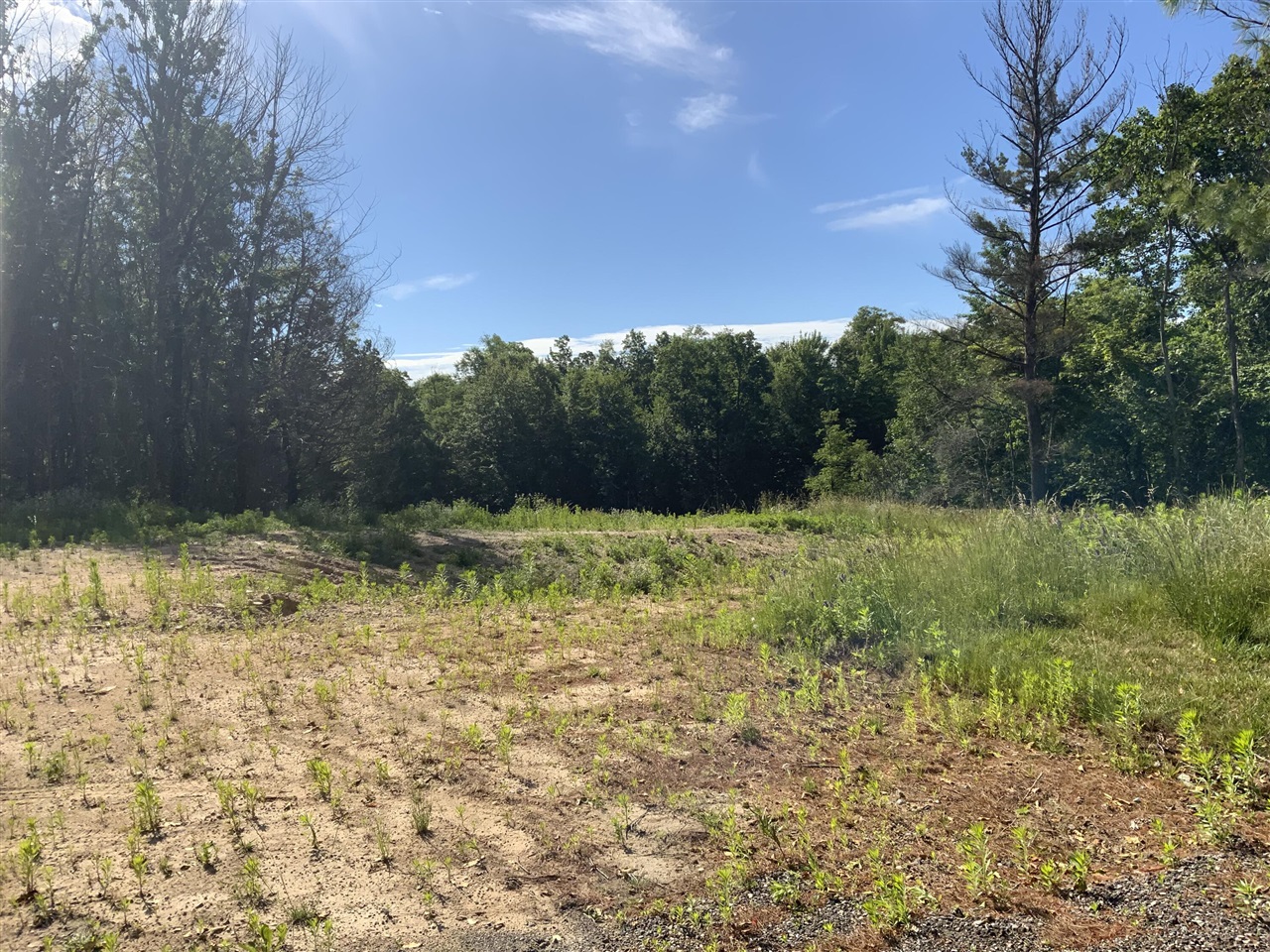 1st image of 16000 Force Ave, Cedar Springs, MI 49319 | MLS# 70540891