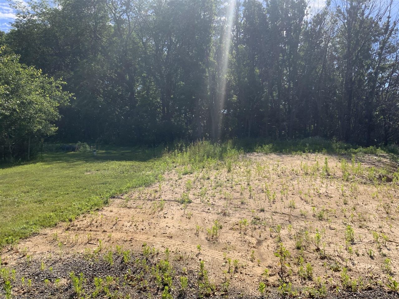 2nd image of 16000 Force Ave, Cedar Springs, MI 49319 | MLS# 70540891