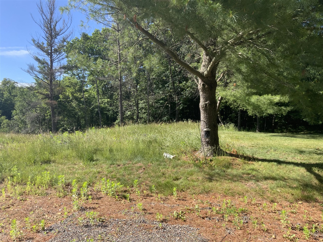 3rd image of 16000 Force Ave, Cedar Springs, MI 49319 | MLS# 70540891