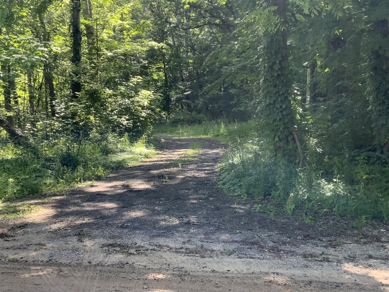 4th image of 16000 Force Ave, Cedar Springs, MI 49319 | MLS# 70540891