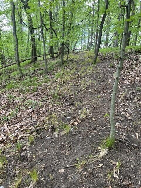 2nd image of Parcel A W County Line Road, Belding, MI 48809 | MLS# 70541026
