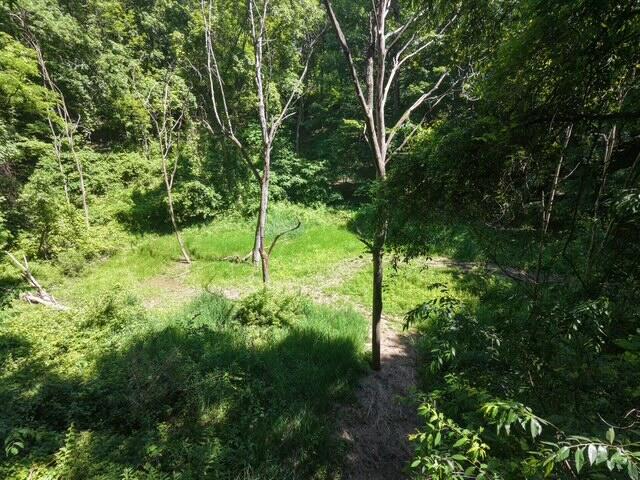 14th image of Parcel A W County Line Road, Belding, MI 48809 | MLS# 70541026