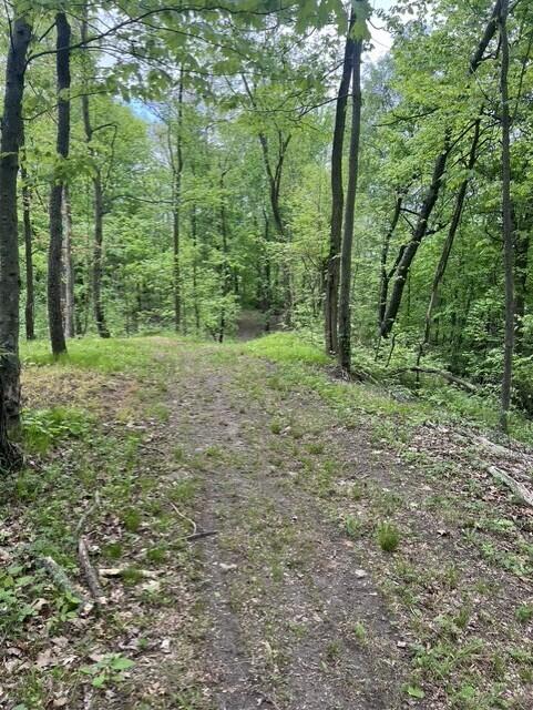 3rd image of Parcel A W County Line Road, Belding, MI 48809 | MLS# 70541026