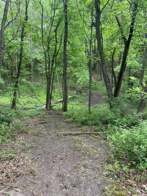 4th image of Parcel A W County Line Road, Belding, MI 48809 | MLS# 70541026