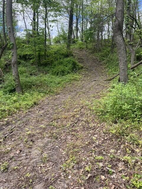 5th image of Parcel A W County Line Road, Belding, MI 48809 | MLS# 70541026