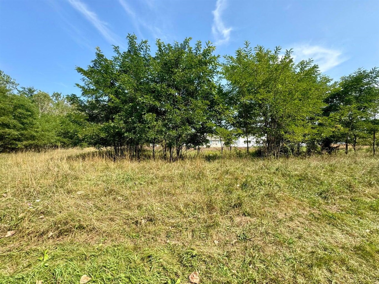 Photo 2 of Land for sale at Vl St Clair Cir, Brooklyn, MI 49230 | MLS# 70541051 | Listing updated on 2026-10-05