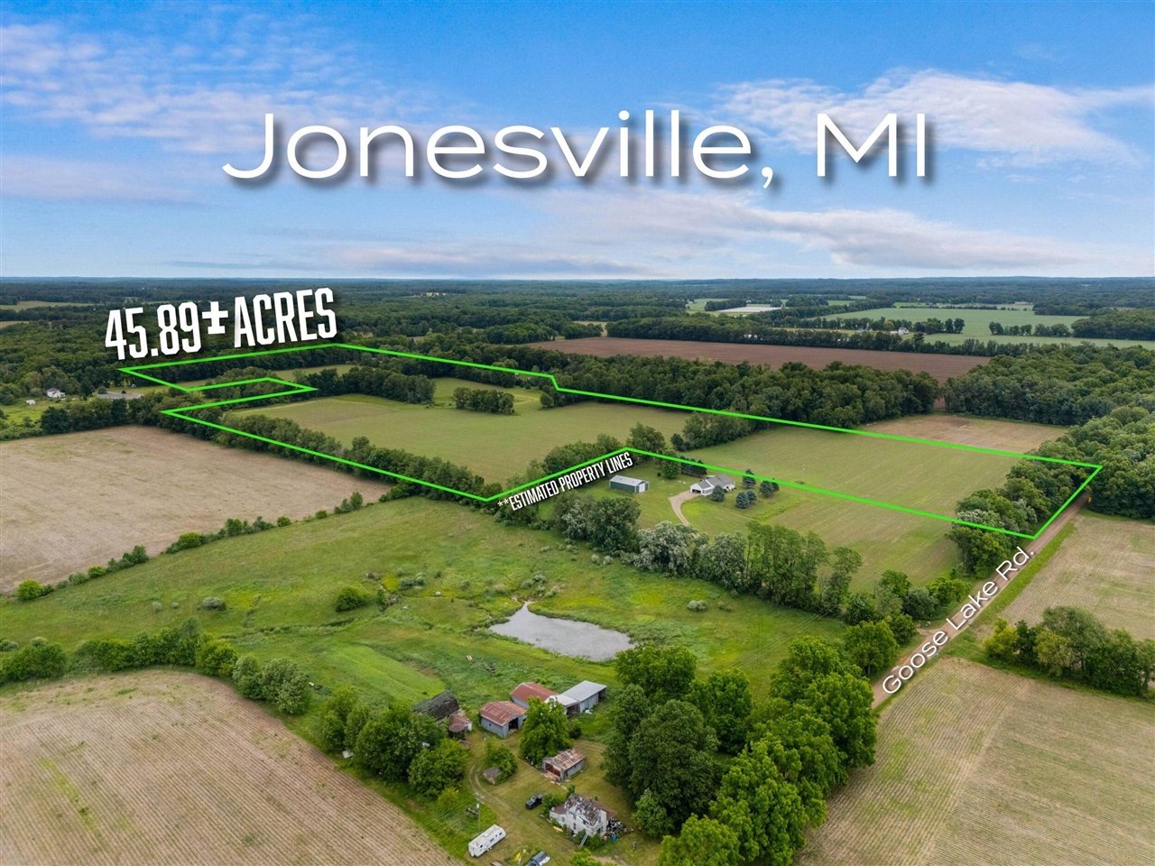 2nd image of 00 Goose Lake Road, Jonesville, MI 49250 | MLS# 70541347