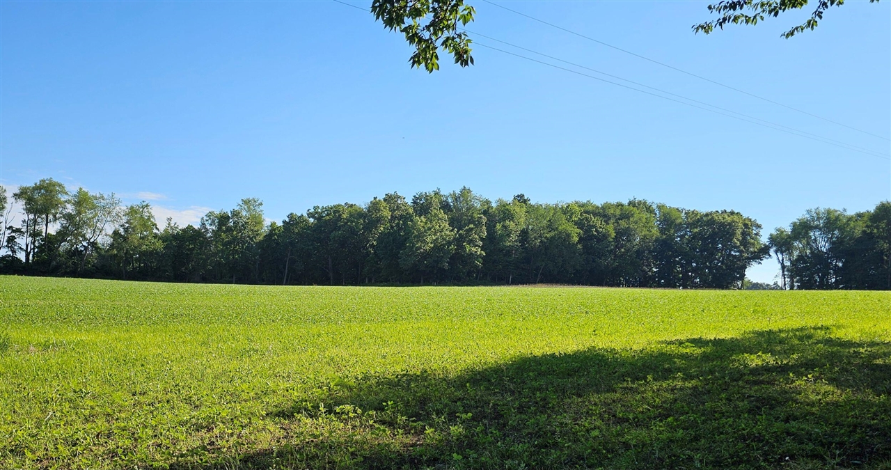 6th image of 00 Goose Lake Road, Jonesville, MI 49250 | MLS# 70541347