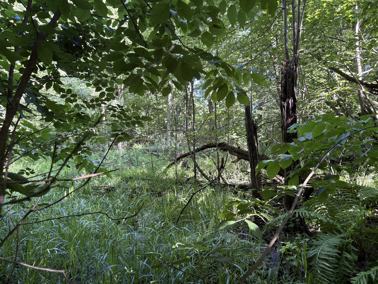Land for sale at 104th Avenue, Allegan, MI 49010 | MLS# 70541694