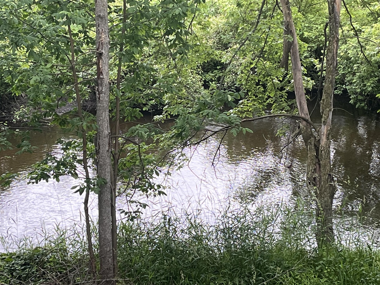 4th image of 1172 N Greenville Rd, Stanton, MI 48888 | MLS# 70541948