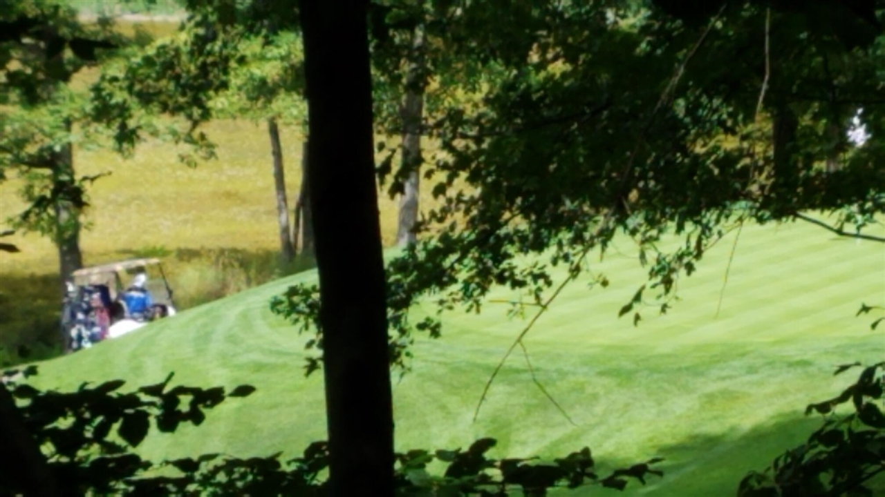 1st image of 11010 Shawnee Trl, Stanwood, MI 49346 | MLS# 70541972