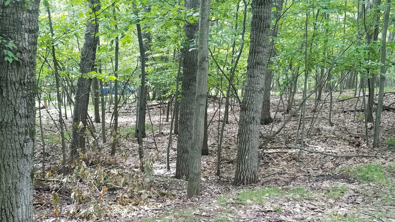 5th image of 11010 Shawnee Trl, Stanwood, MI 49346 | MLS# 70541972