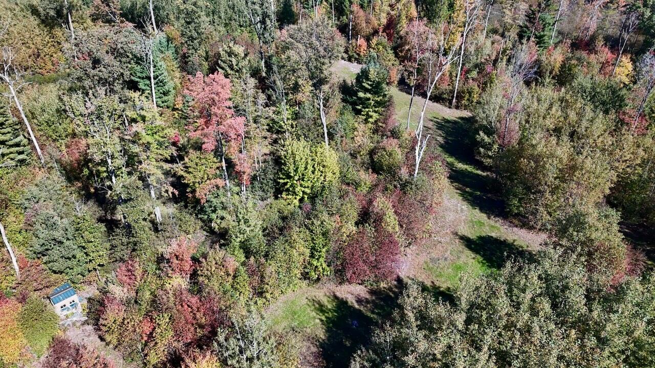 Photo 3 of Land for sale at 4473 Hamilton Dr, Harrison, MI 48625 | MLS# 70541973 | Listing updated on 2026-09-30