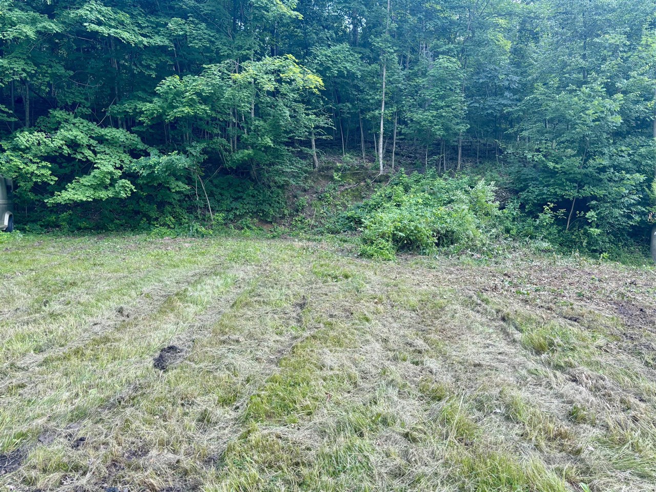 4th image of Spring St, Sturgis, MI 49091 | MLS# 70542255