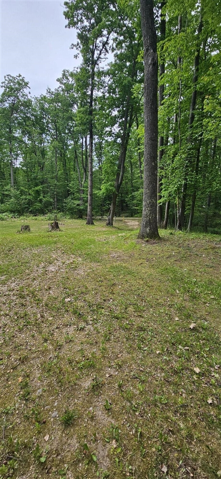 Photo 2 of Land for sale at 10527 Wampum Trl, Evart, MI 49631 | MLS# 70542636 | Listing updated on 2026-09-18