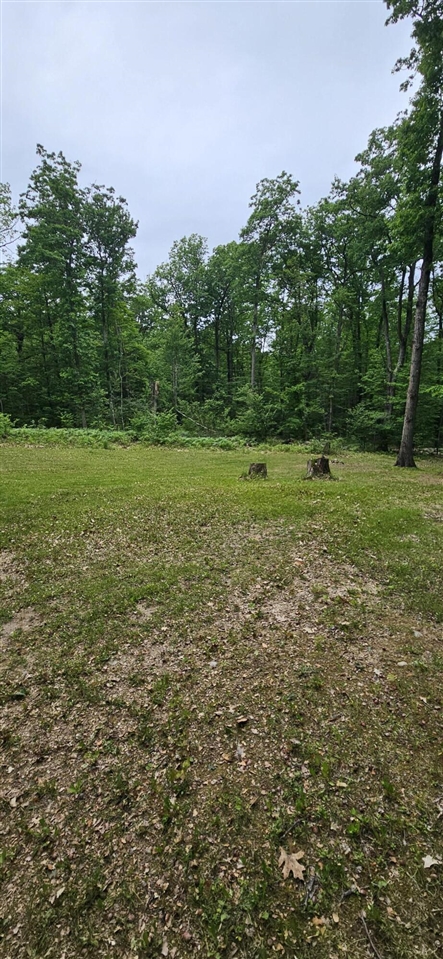 Photo 3 of Land for sale at 10527 Wampum Trl, Evart, MI 49631 | MLS# 70542636 | Listing updated on 2026-09-18