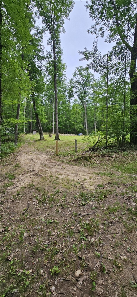 Photo 4 of Land for sale at 10527 Wampum Trl, Evart, MI 49631 | MLS# 70542636 | Listing updated on 2026-09-18