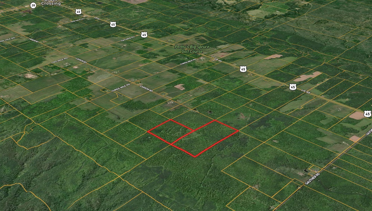 15th image of V/l Larson Rd, Bruce Crossing, MI 49912 | MLS# 70543068
