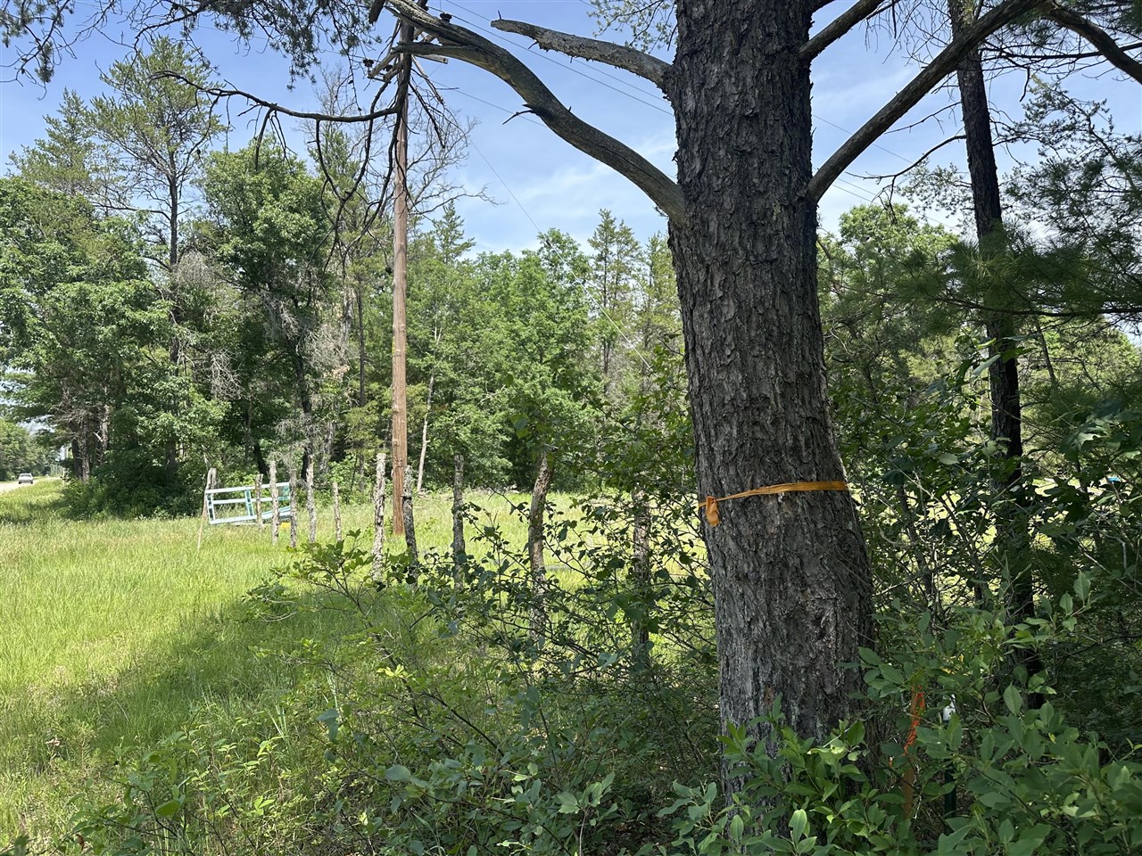 Photo 1 of Land for sale at 00 S Broadway St, Idlewild, MI 49642 | MLS# 70543099 | Listing updated on 2026-10-05