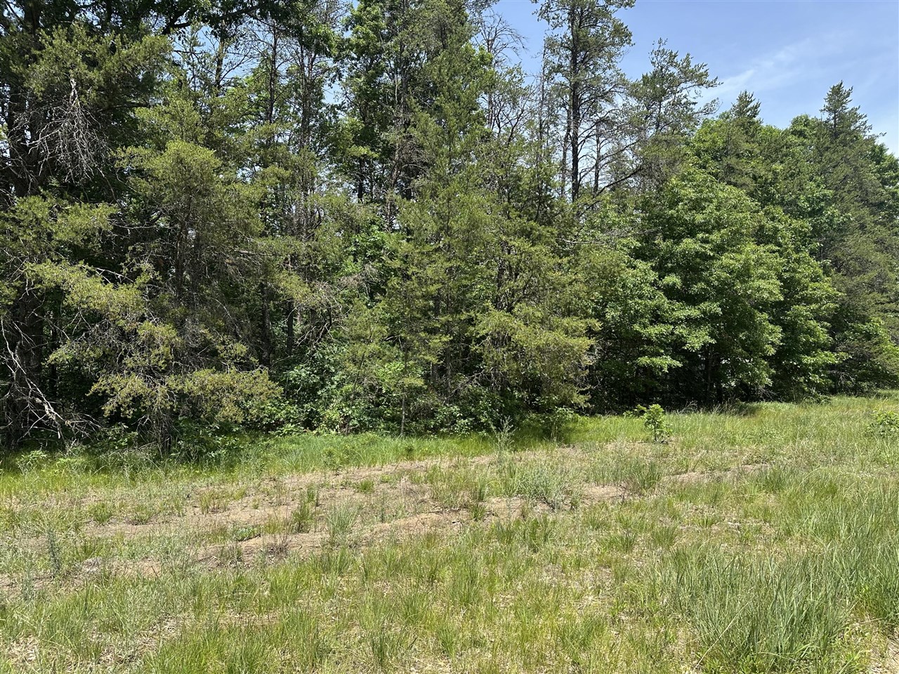 Photo 3 of Land for sale at 00 S Broadway St, Idlewild, MI 49642 | MLS# 70543099 | Listing updated on 2026-10-05