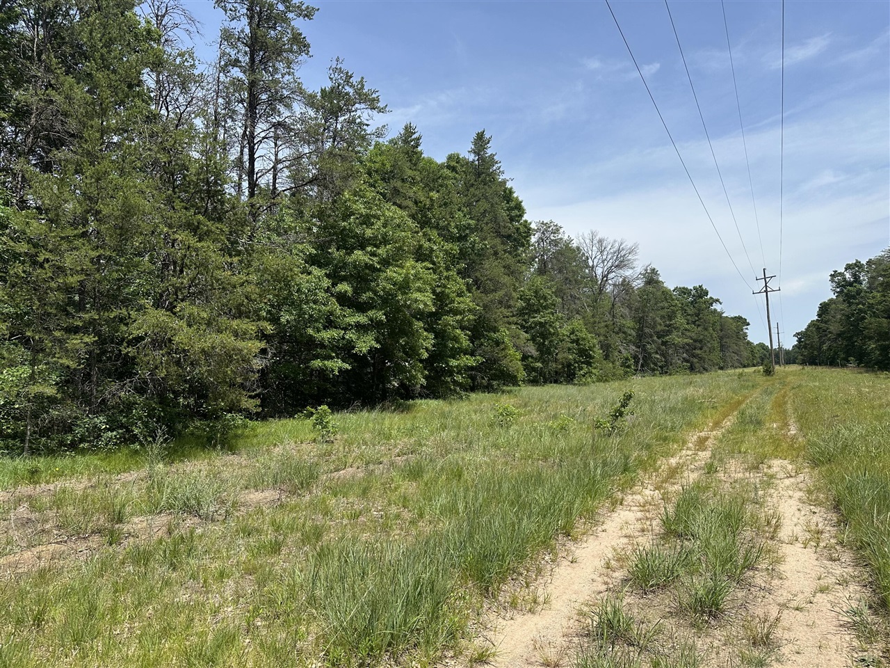 Photo 3 of Land for sale at 00 S Broadway St, Idlewild, MI 49642 | MLS# 70543099 | Listing updated on 2026-10-05