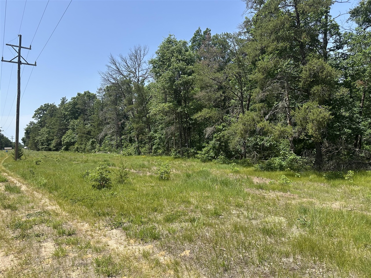 Photo 4 of Land for sale at 00 S Broadway St, Idlewild, MI 49642 | MLS# 70543099 | Listing updated on 2026-10-05