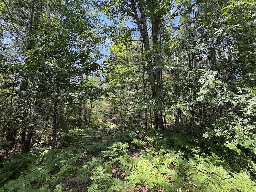 5th image of S Loxley Rd, Houghton Lake, MI 48629 | MLS# 70543178