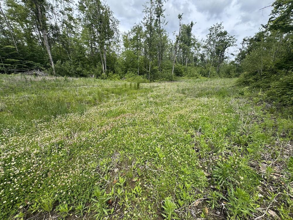 4th image of 1692 N Galbraith Rd, Mio, MI 48647 | MLS# 70543186