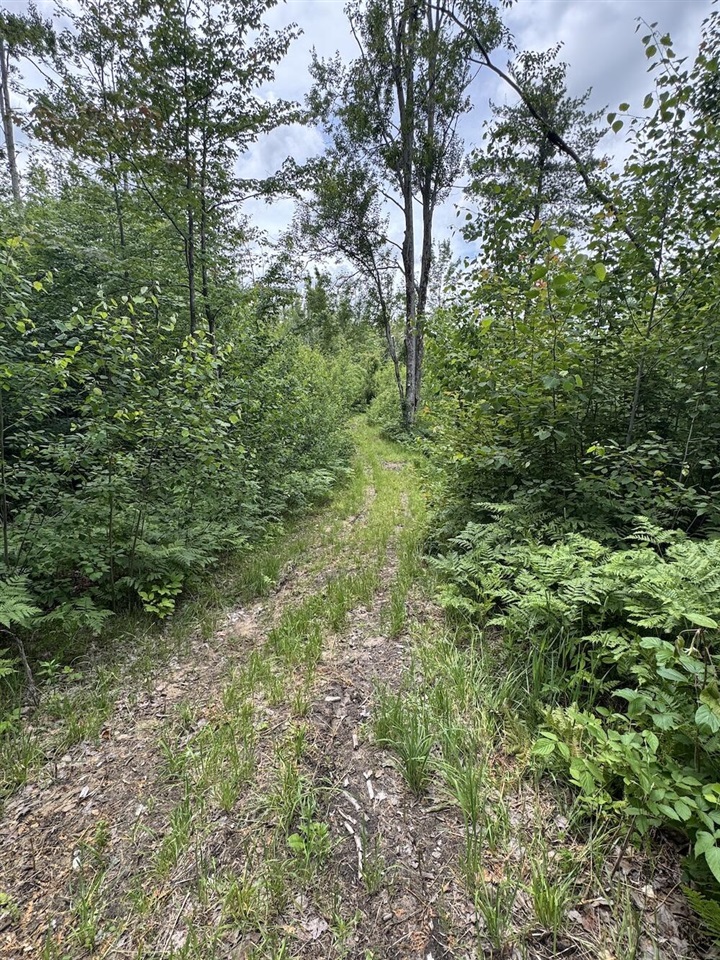82nd image of 1692 N Galbraith Rd, Mio, MI 48647 | MLS# 70543186