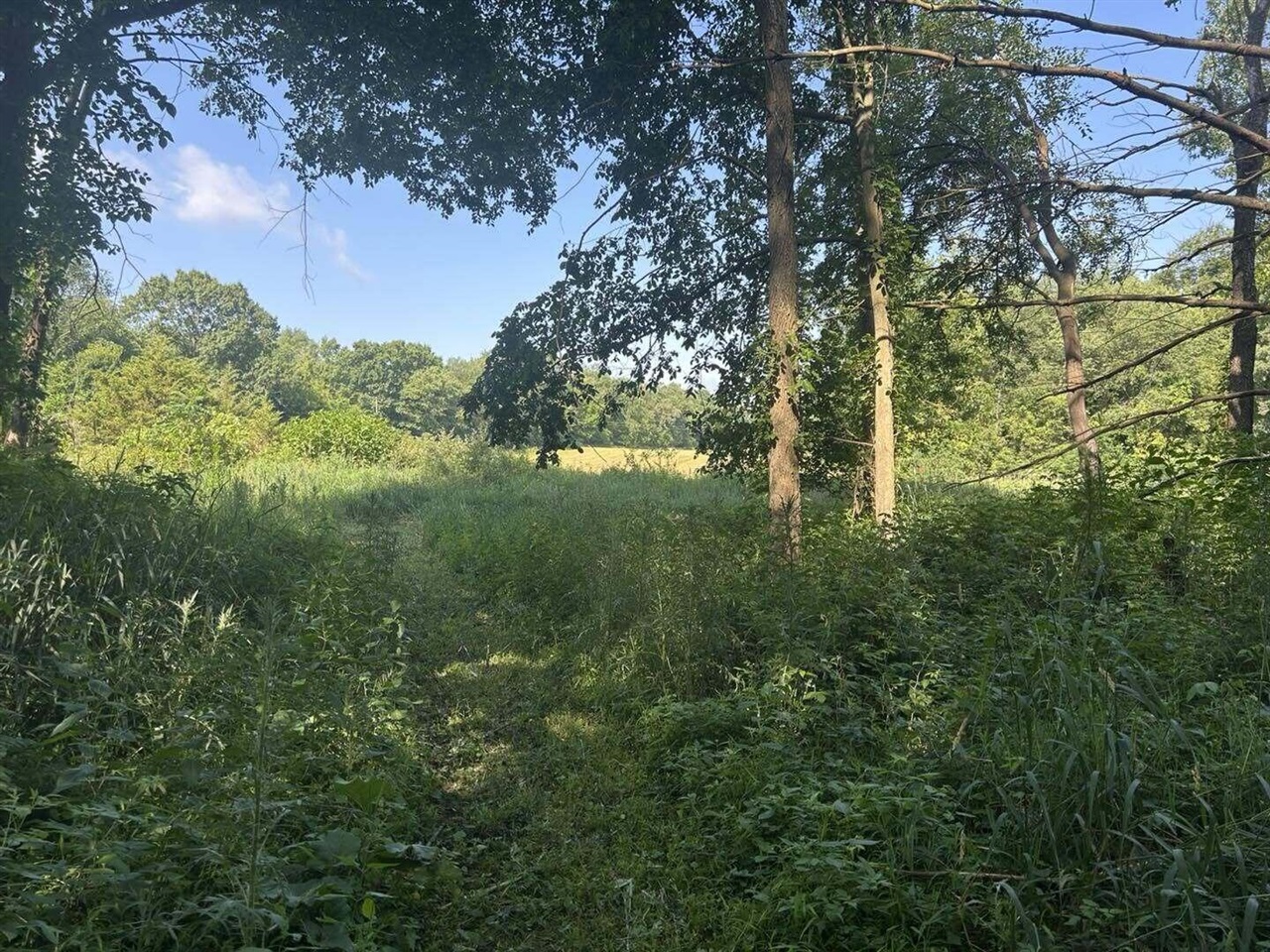 11th image of 7509 Genesee Rd, Litchfield, MI 49252 | MLS# 70543274