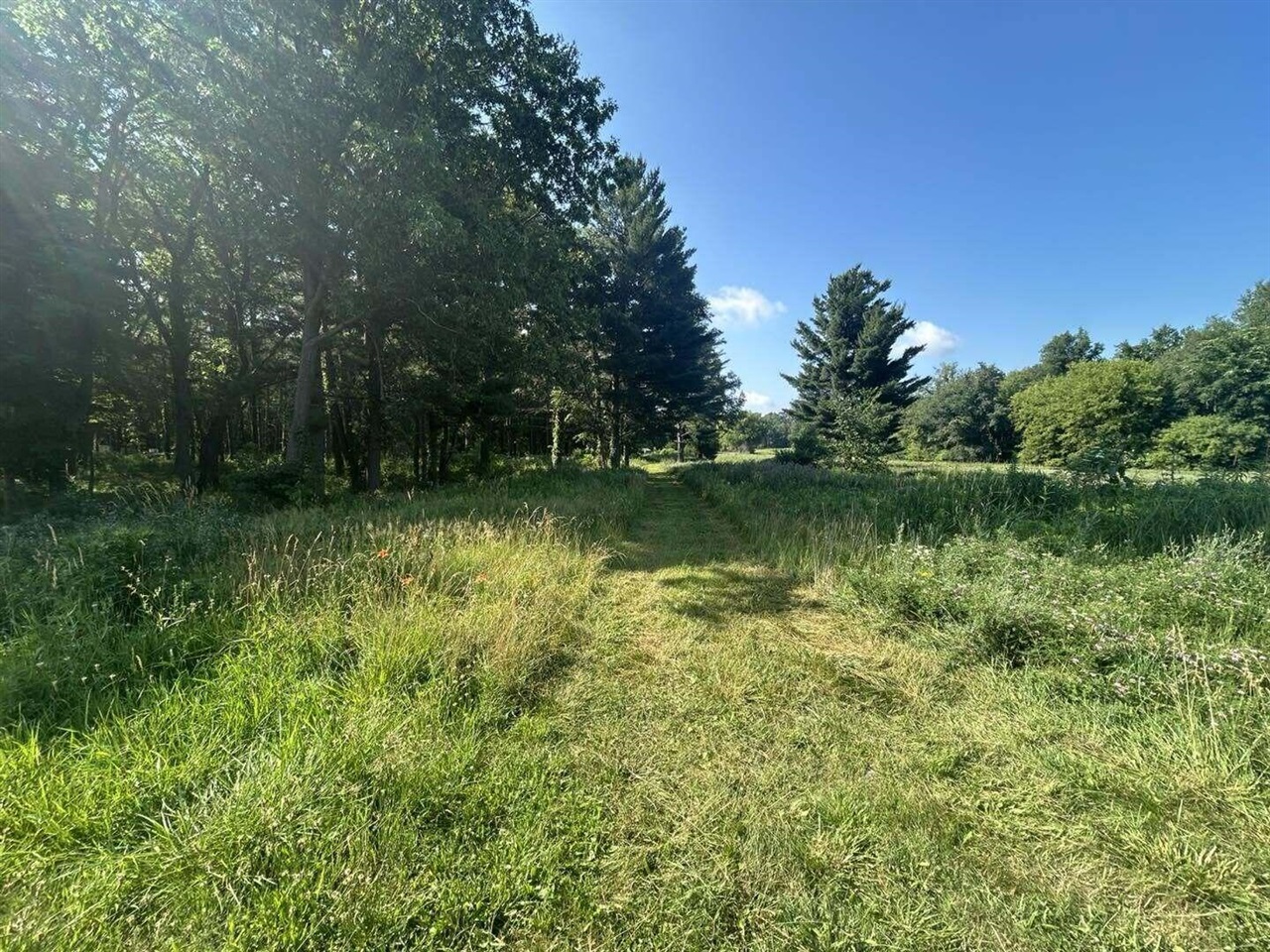 3rd image of 7509 Genesee Rd, Litchfield, MI 49252 | MLS# 70543274
