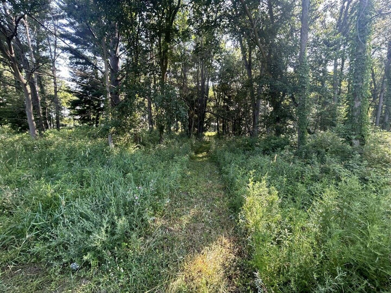 5th image of 7509 Genesee Rd, Litchfield, MI 49252 | MLS# 70543274