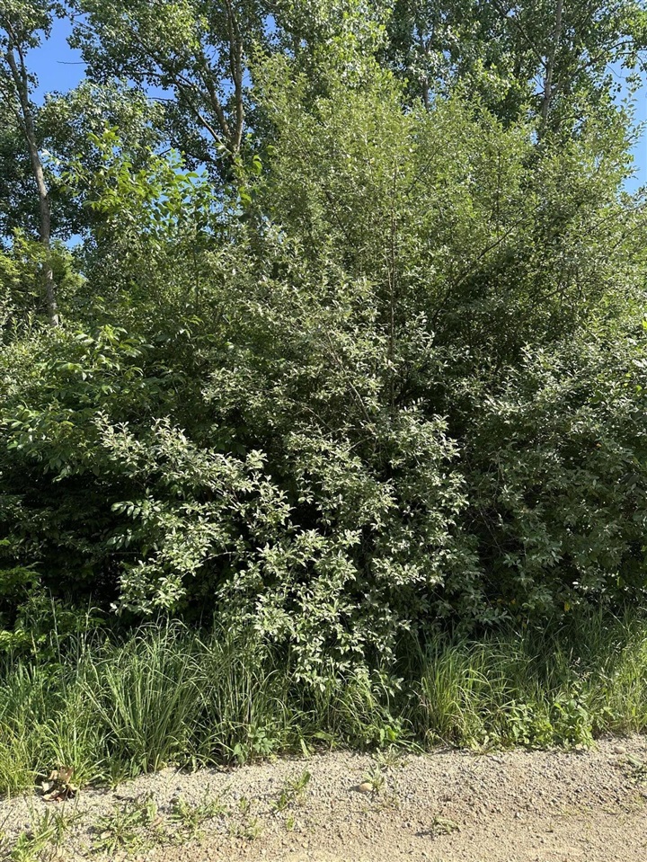 1st image of 11820 Penlawn Dr, Jerome, MI 49249 | MLS# 70543352