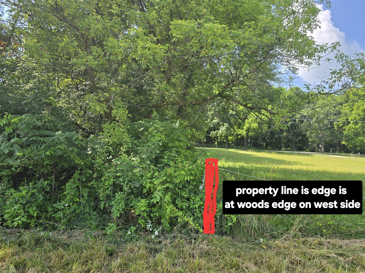 13th image of 3544 Mechanic Rd, Hillsdale, MI 49242 | MLS# 70543395