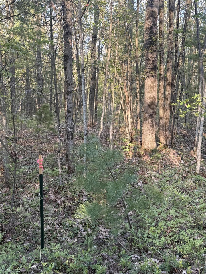 1st image of N Woodland Ave, Bitely, MI 49309 | MLS# 70543441