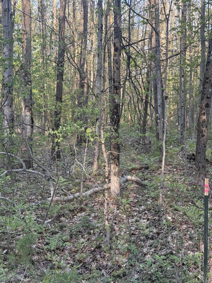 2nd image of N Woodland Ave, Bitely, MI 49309 | MLS# 70543441